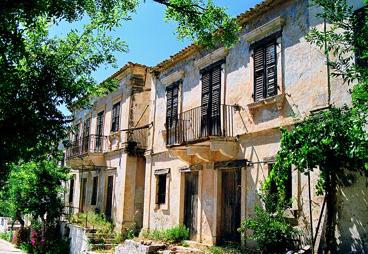 Walking in olivetrees   -   Περπατώντας στις ελιές