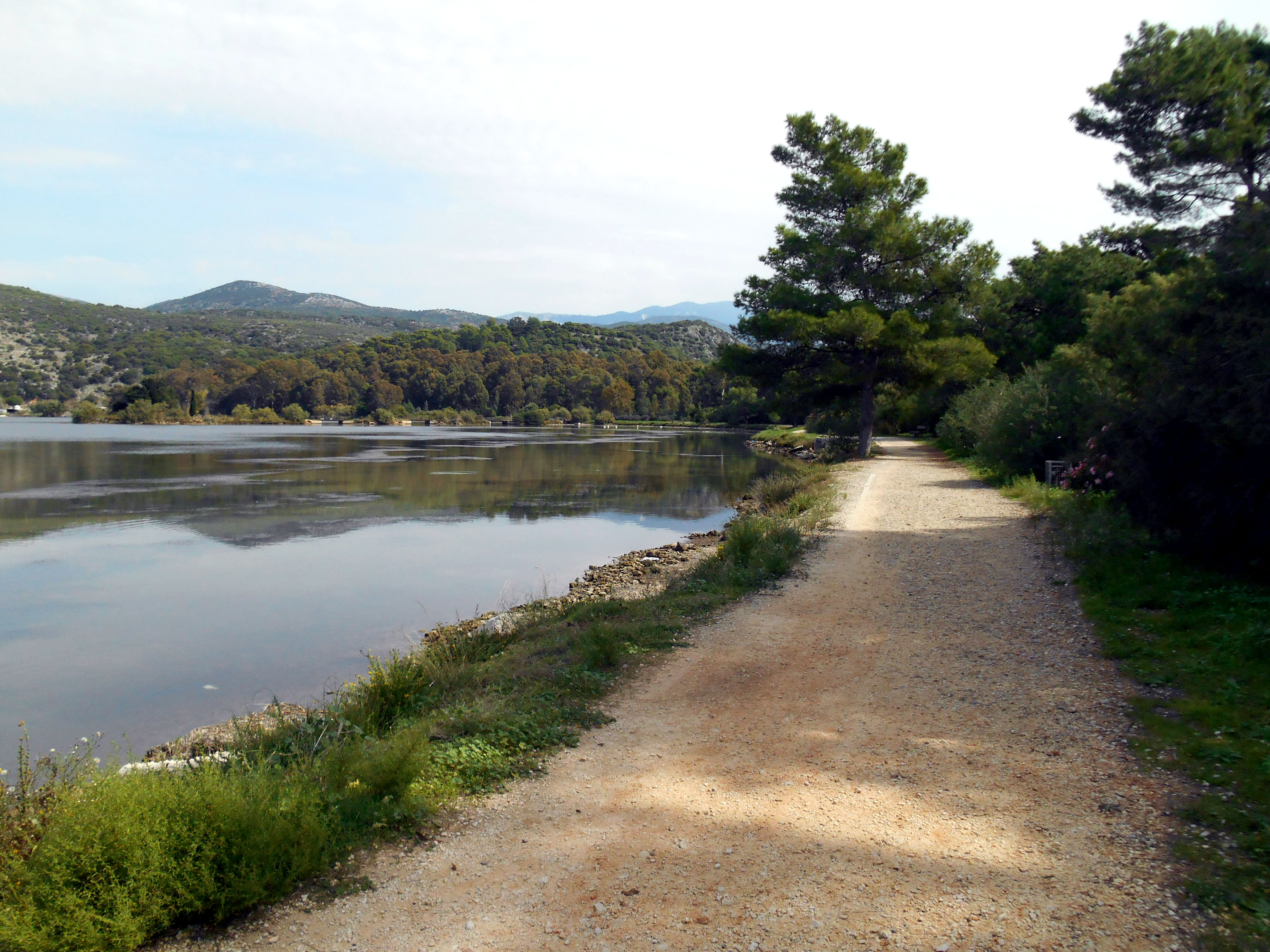 Around  of lagoon  -  Γύρω απ'τη λιμνοθάλασσα
