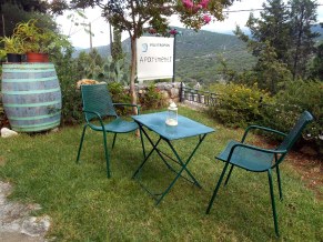 Τhe garden - H αυλή