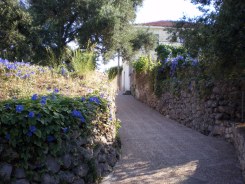 Another road in the village